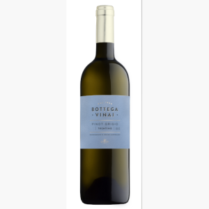 Bottega Vinai Pinot Grigio