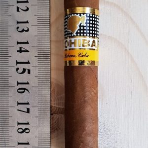 Cohiba Siglo I Cigar – 1 Single Cigar