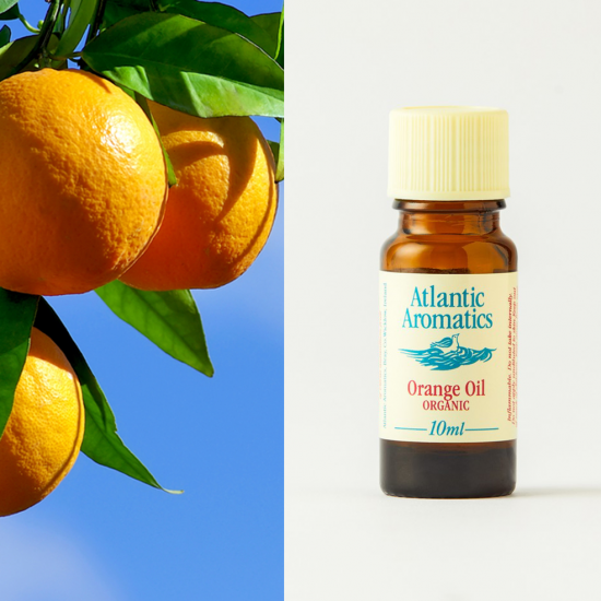 Orange Essential Oil Organic 10ml - Image 2
