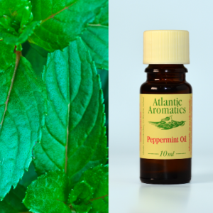 Peppermint Essential oil – organic (10ml)
